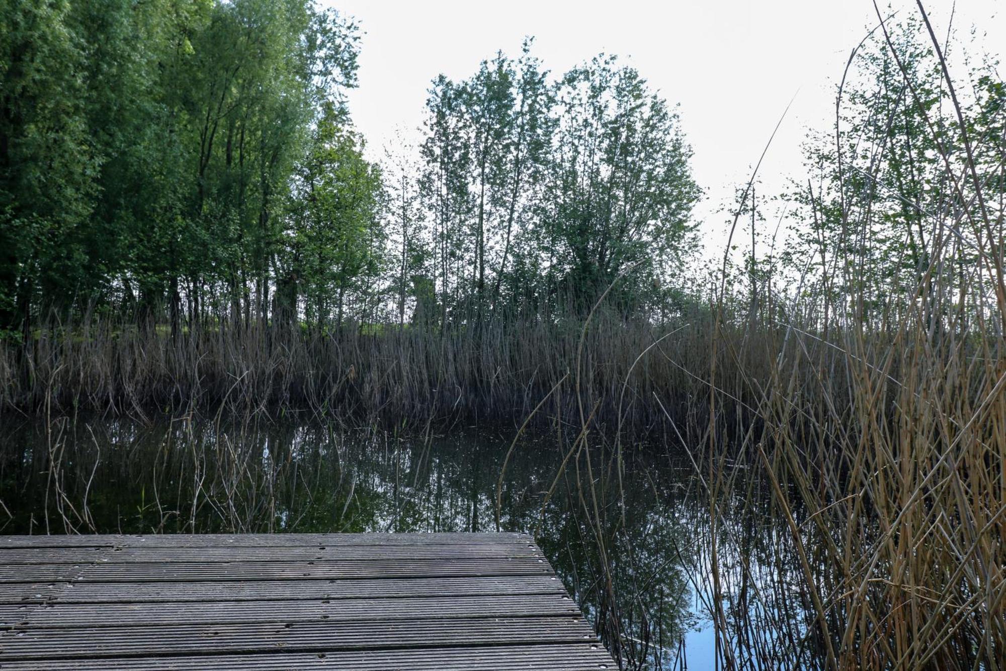 Camping Hof Nieuwerkerk